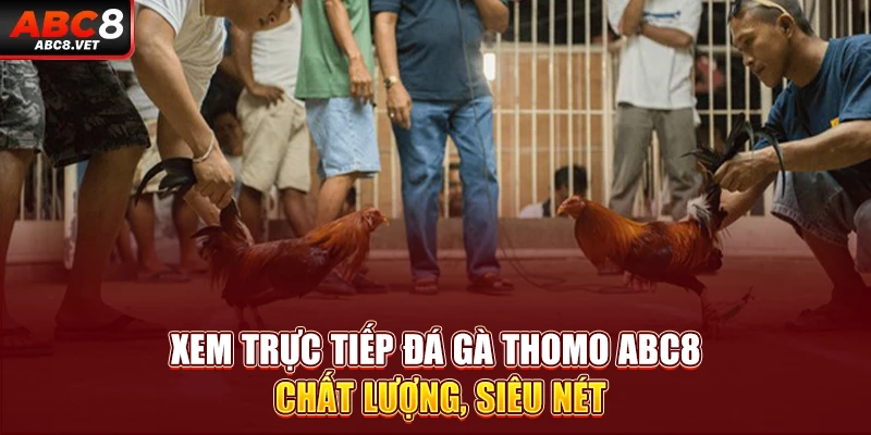 Xem Trực Tiếp Đá Gà Thomo ABC8 Chất Lượng, Siêu Nét