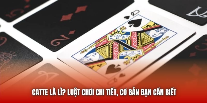 Catte Là Gì? Luật Chơi Chi Tiết, Cơ Bản Bạn Cần Biết
