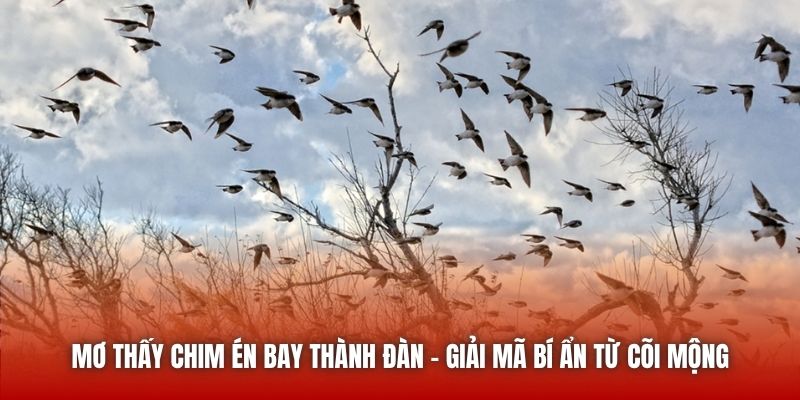 Mơ Thấy Chim Én Bay Thành Đàn - Giải Mã Bí Ẩn Từ Cõi Mộng