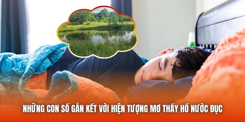 Những con số gắn kết với hiện tượng mơ thấy hồ nước đục
