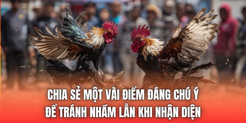 Chia sẻ một vài điểm đáng chú ý để tránh nhầm lẫn khi nhận diện
